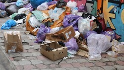 С начала 2024 года более 800 тонн мусора убрали в Железноводске